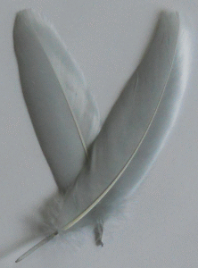 Silver Goose Satinette Feathers