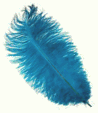Turquoise Mini Ostrich Drab Feathers - 1/4 lb
