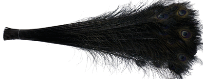 Bleached & Dyed Black Peacock Feathers in Bulk