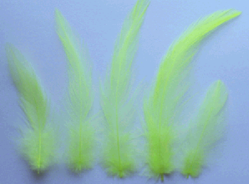Bulk Chartreuse Rooster Hackle Feathers