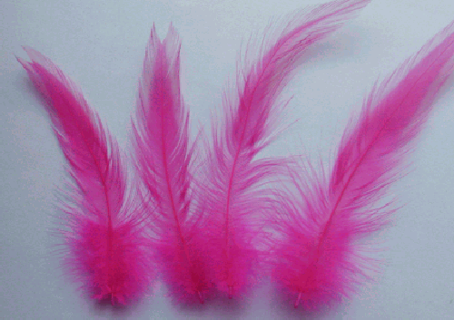 FLORESCENT Chartreuse Rooster Hackle Feathers 2-6" Dyed Loose 7gram bag Aprx 150 