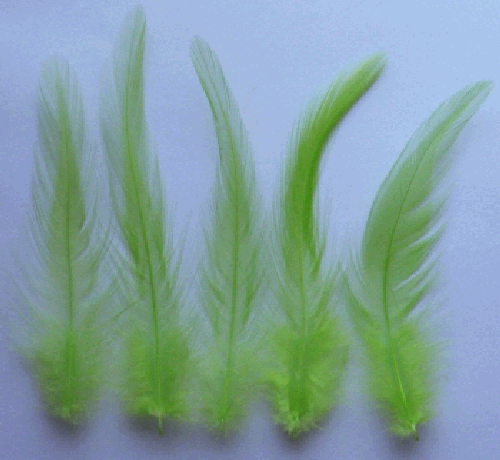 Bulk Lime Rooster Hackle Feathers