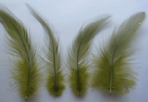 Olive Rooster Hackle Feathers - Bulk lb