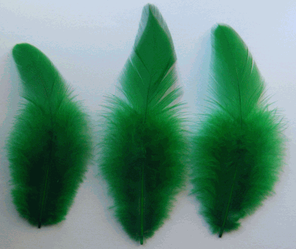 Bulk Green Rooster Saddle Feathers