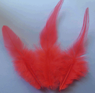 Bulk Hot Orange Rooster Saddle Feathers