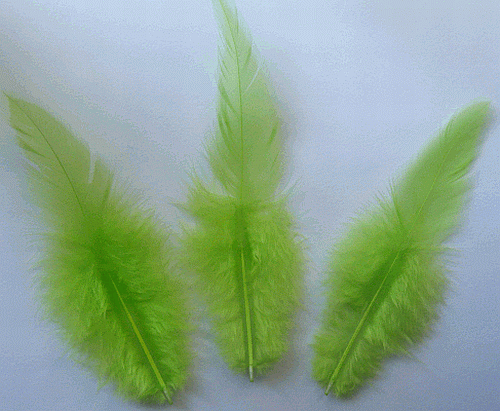 Bulk Lime Rooster Saddle Feathers