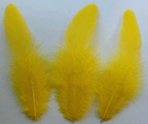 Bulk Yellow Rooster Saddle Feathers