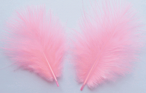 Bulk Feathers - Mini Turkey Marabou - Candy Pink 1/4 lb