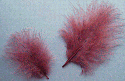 Bulk Feathers - Mini Turkey Marabou - Dusty Rose 1/4 lb