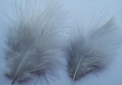 Bulk Feathers - Mini Turkey Marabou - Grey 1/4 lb