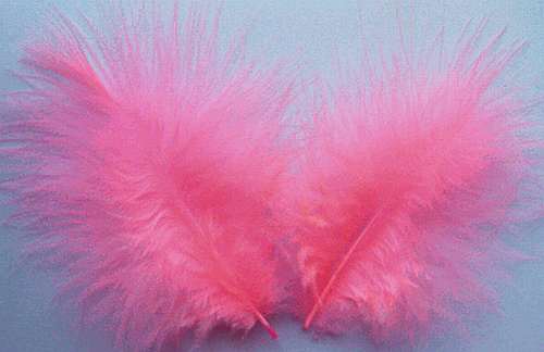 Bulk Feathers - Mini Turkey Marabou - Hot Pink 1/4 lb