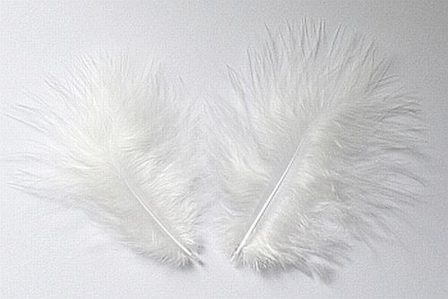 Bulk Feathers - Mini Turkey Marabou - White 1/4 lb