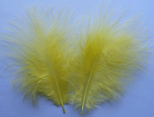 Bulk Feathers - Mini Turkey Marabou - Yellow 1/4 lb