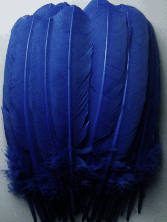 Blue Turkey Quill Feathers - Mixed lb