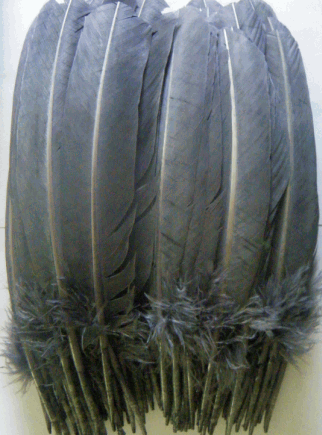 Gray Turkey Quill Feathers - Mixed lb