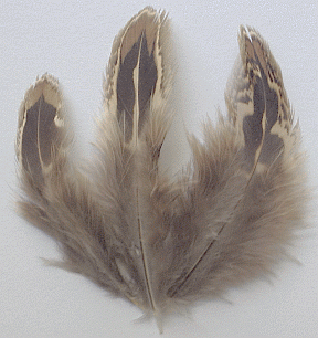 Hen Flank Duck Mallard Feathers - 1/4 lb