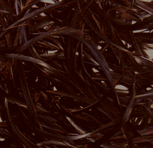Brown Goose Biot Feathers - Mini Pkg