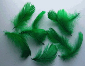 Bulk Green Goose Coquille Feathers - lb