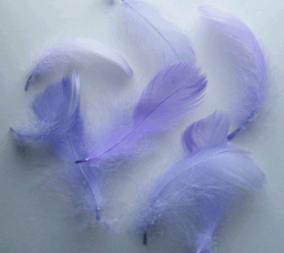 Lavender Goose Coquille Craft Feathers - Mini Pkg