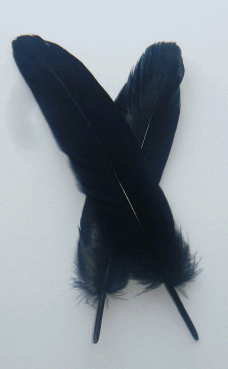 Bulk Black Goose Satinette Feathers - 1/4 lb