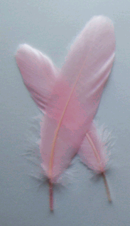 Candy Pink Goose Satinette Craft Feathers - Mini Pkg