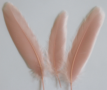 Champagne Goose Satinette Craft Feathers - Mini Pkg