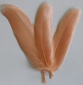 Bulk Cinnamon Goose Satinette Feathers - 1/4 lb