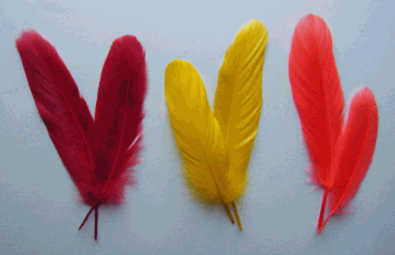 Fire Mix Goose Satinette Craft Feathers - Mini Pkg OUT OF STOCK