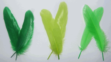Green Mix Goose Satinette Craft Feathers - Mini Pkg
