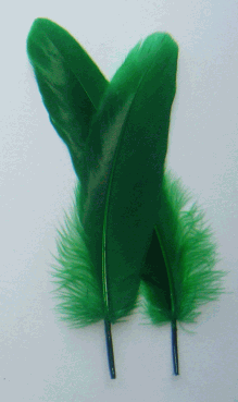 Bulk Green Goose Satinette Feathers - 1/4 lb