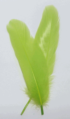 Lime Goose Satinette Craft Feathers - Mini Pkg