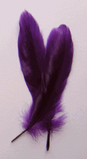 Purple Goose Satinette Feathers - Bulk lb