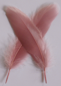 Bulk Rose Goose Satinette Feathers - 1/4 lb