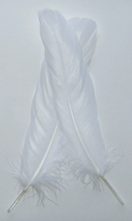 White Satinette Goose Feathers - Mini Pkg