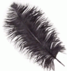 Black Small Ostrich Drab Feathers - 1/4 lb