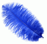 Blue Large Ostrich Drab Feathers - 1/4 lb