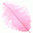 Candy Pink Large Ostrich Feather Drabs - Dozen