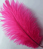 Fuchsia Mini Ostrich Feather Drabs - Dozen