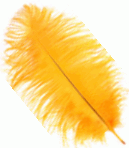 Gold Small Ostrich Drab Feathers - 1/4 lb