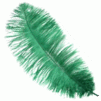 Green Large Ostrich Drab Feathers - 1/4 lb