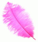 Hot Pink Mini Ostrich Drab Feathers - 1/4 lb