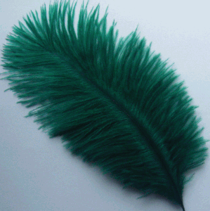 Hunter Green XL Ostrich Feather Drabs - Dozen