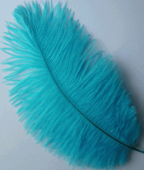 Light Turquoise Large Ostrich Feather Drabs - Dozen
