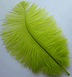 Lime Mini Ostrich Feather Drabs - Dozen