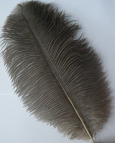 Natural Mini Ostrich Drab Feathers - 1/4 lb