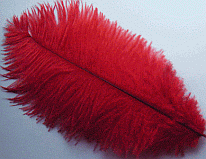 Red Mini Ostrich Feather Drabs - Dozen