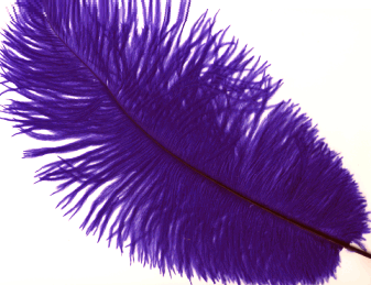 Regal Large Ostrich Feather Drabs - Dozen