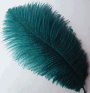 Teal Large Ostrich Drab Feathers - 1/4 lb