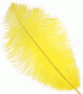 Yellow Large Ostrich Drab Feathers - Bulk lb