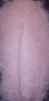 Candy Pink 20-25in Ostrich Feather Femina - 1/2 Dozen